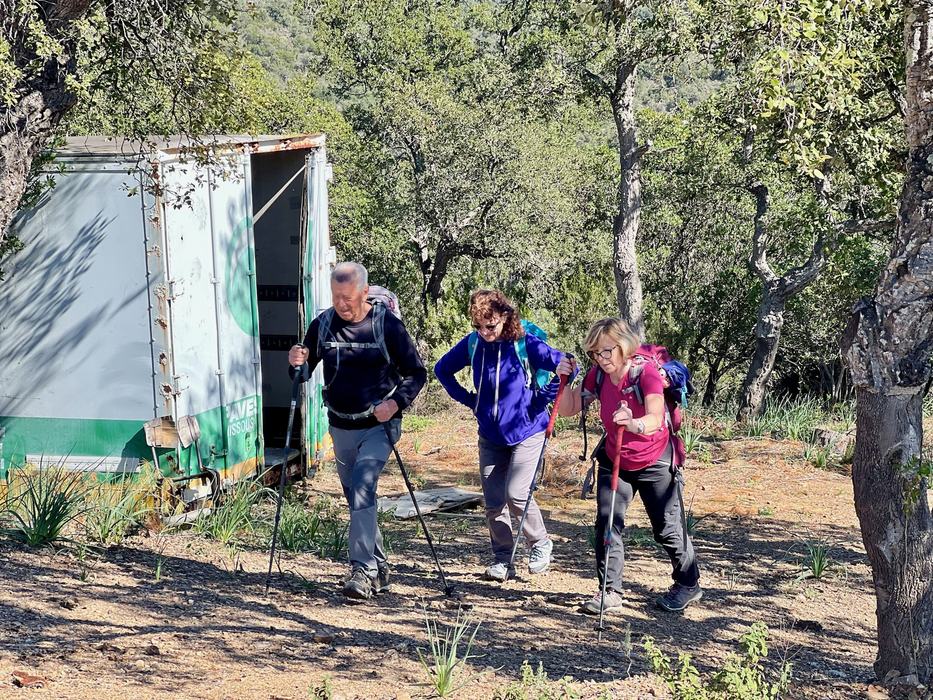 Les Borrels, font de la Truie