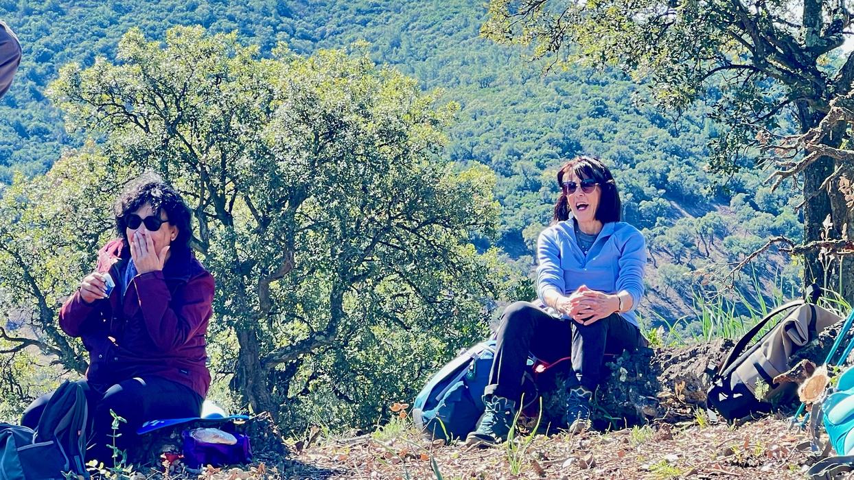 Les Borrels, font de la Truie