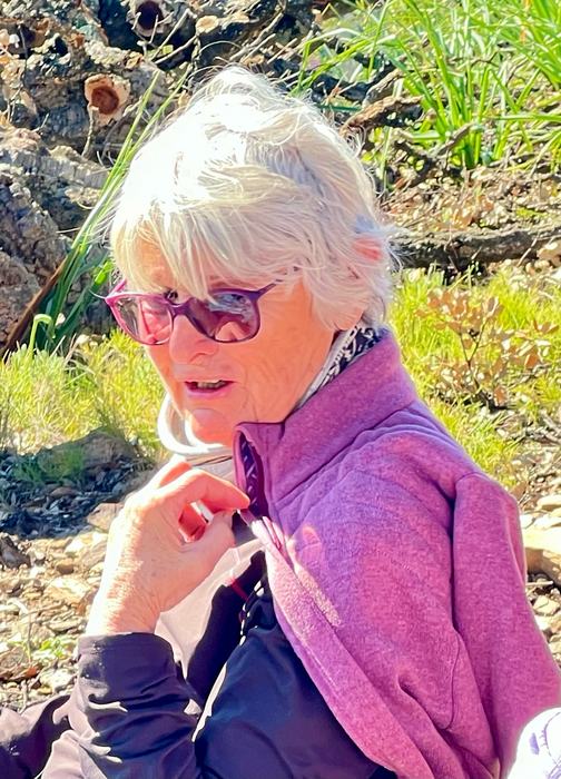 Les Borrels, font de la Truie