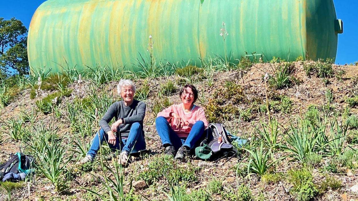 Les Borrels, font de la Truie