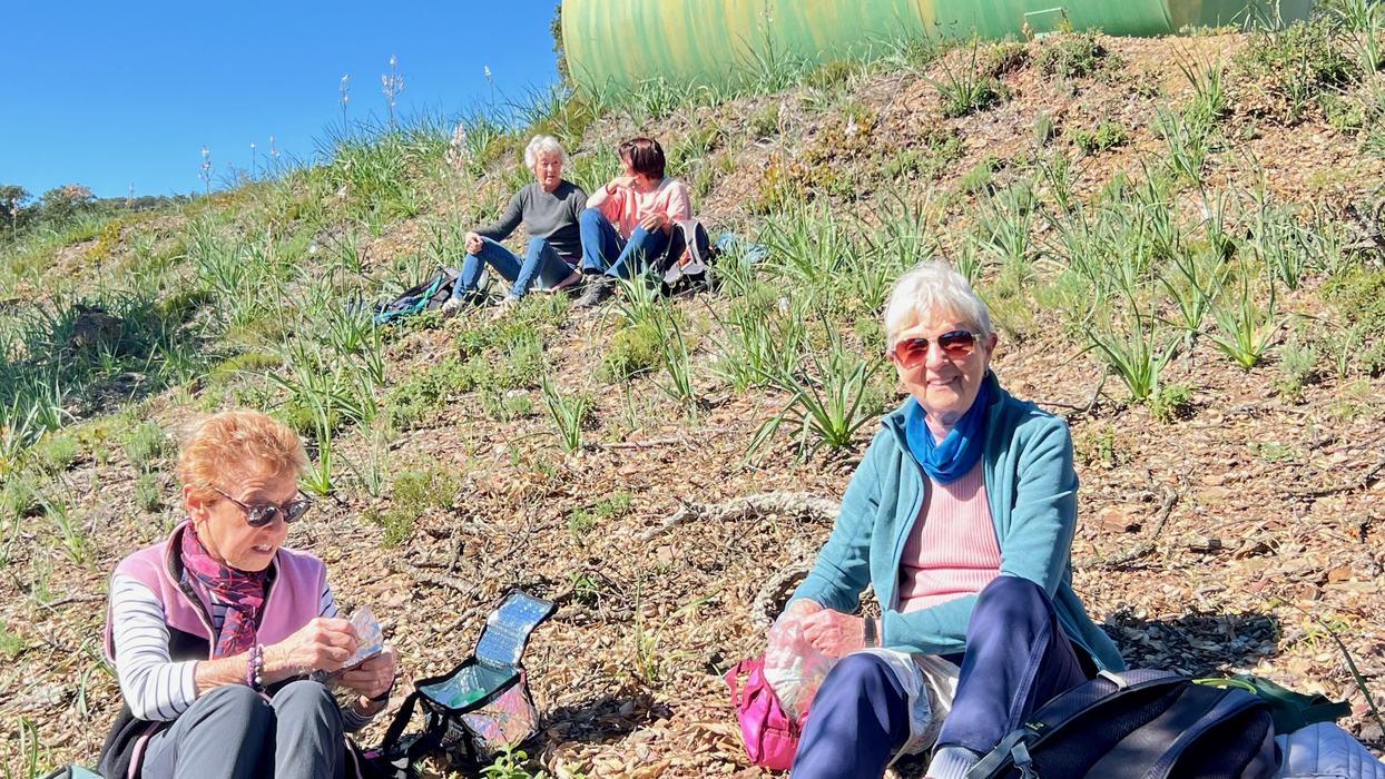 Les Borrels, font de la Truie