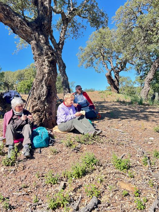 Les Borrels, font de la Truie