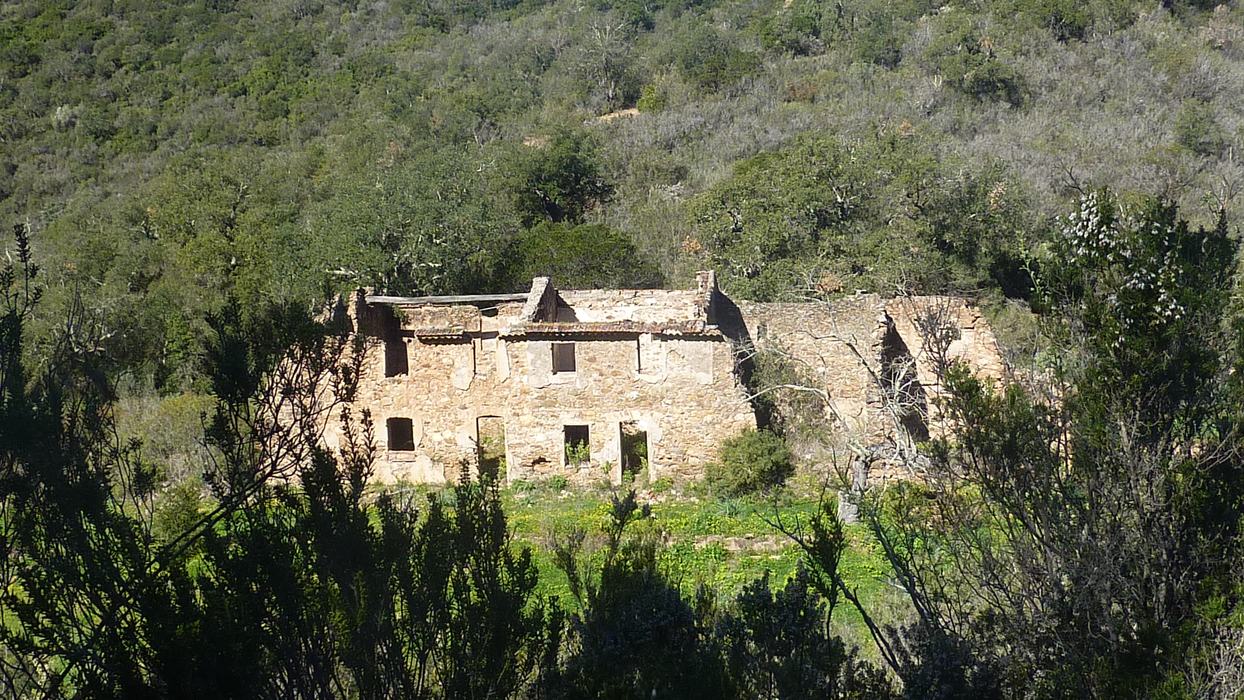 Les Borrels, font de la Truie