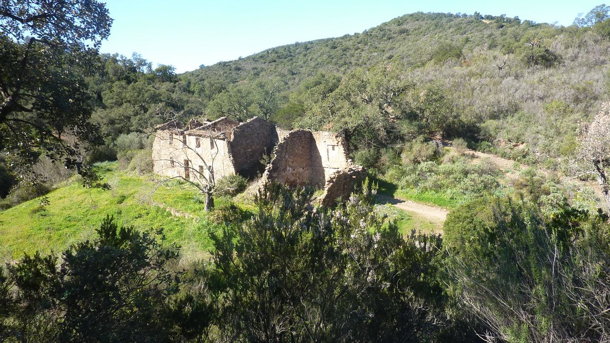 Les Borrels, font de la Truie