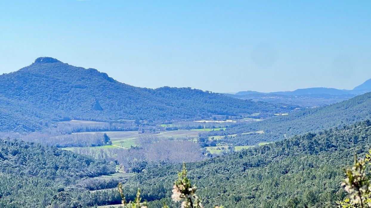 Les Borrels, font de la Truie