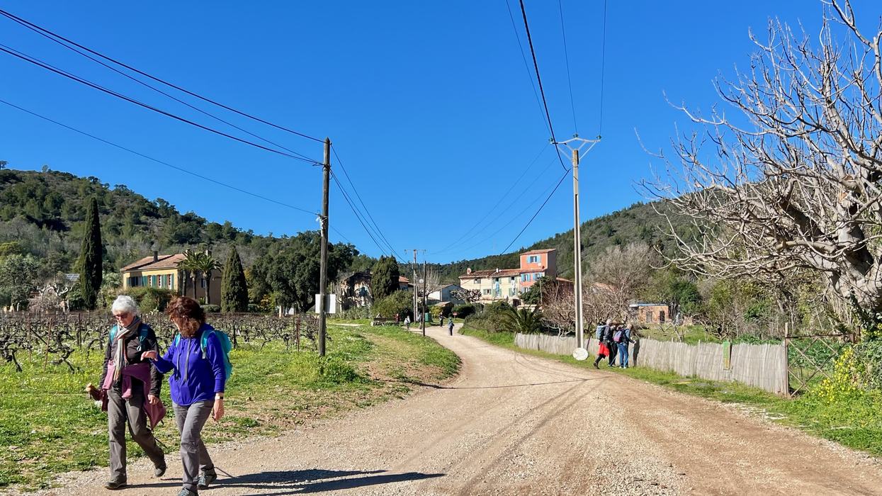 Les Borrels, font de la Truie