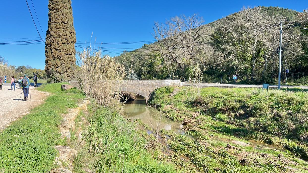 Les Borrels, font de la Truie