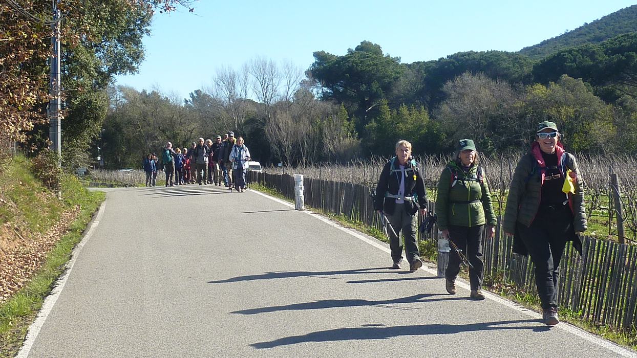 Les Borrels, font de la Truie