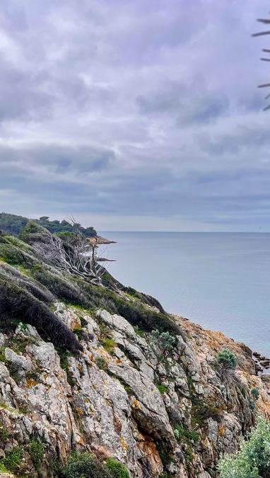 La Croix-Valmer, Cap Lardier