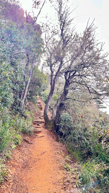 La Croix-Valmer, Cap Lardier