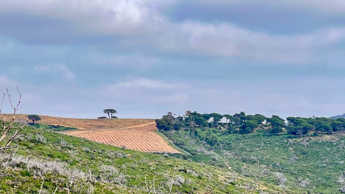 La Croix-Valmer, Cap Lardier
