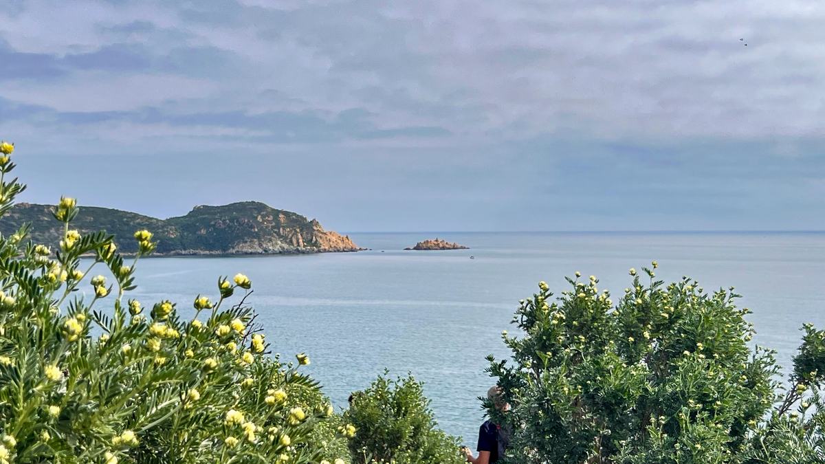La Croix-Valmer, Cap Lardier