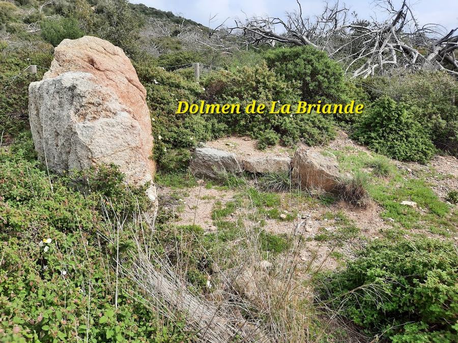 La Croix-Valmer, Cap Lardier