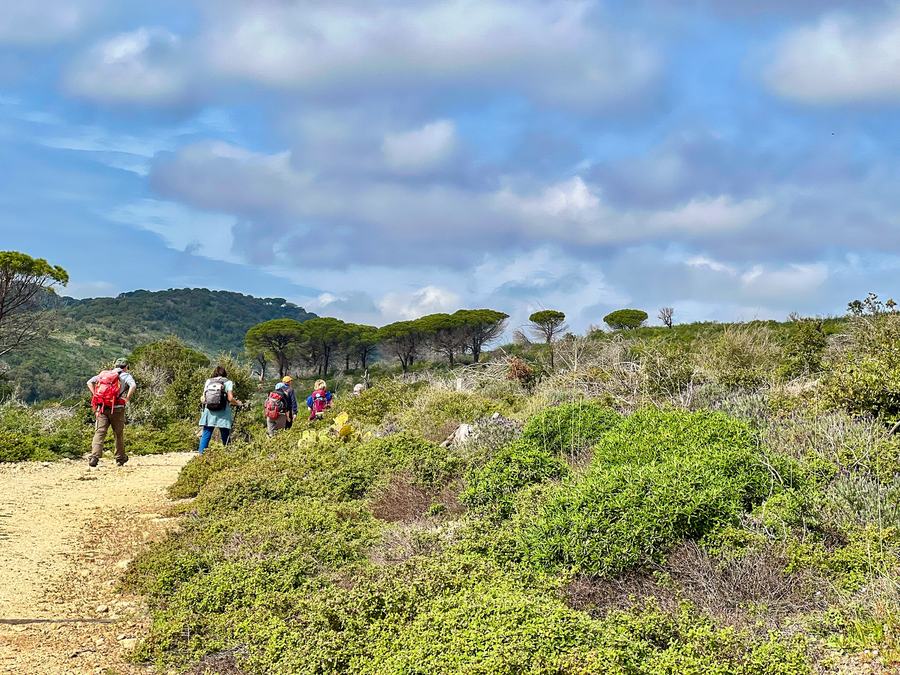 La Croix-Valmer, Cap Lardier