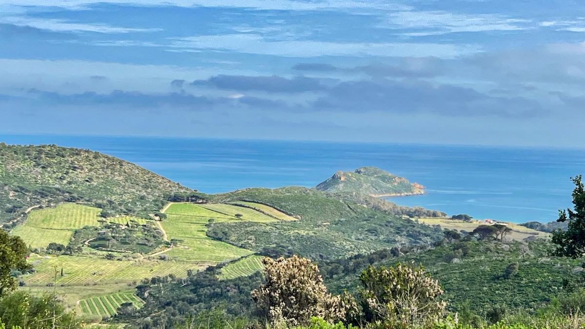 La Croix-Valmer, Cap Lardier