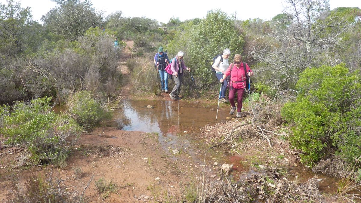 Vidauban, cascades de l’Aille