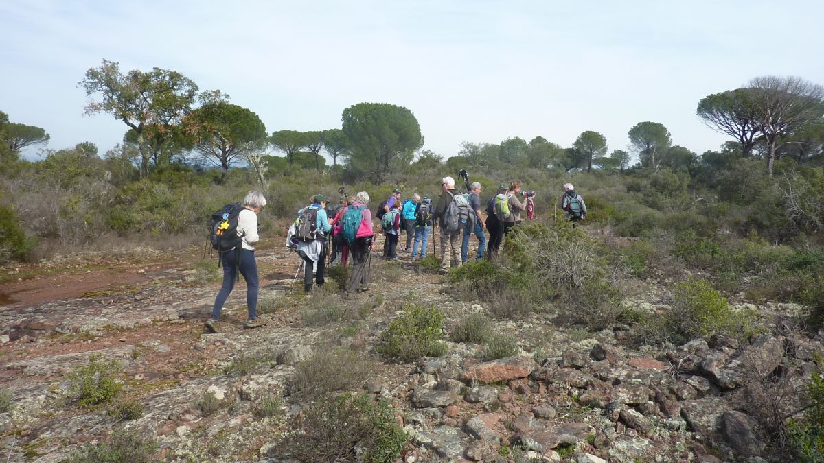 Vidauban, cascades de l’Aille