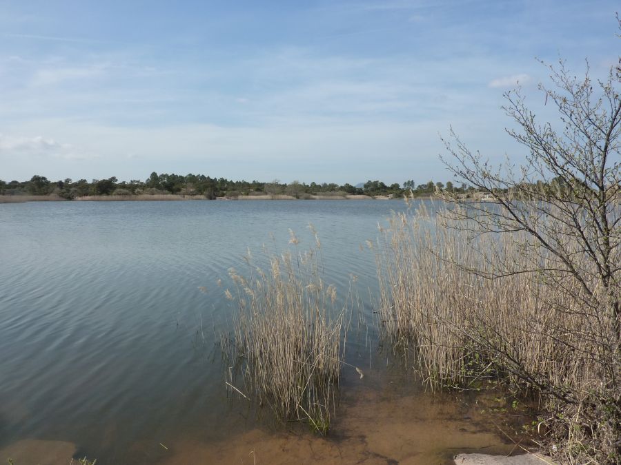 Les Mayons, les Escarcets
