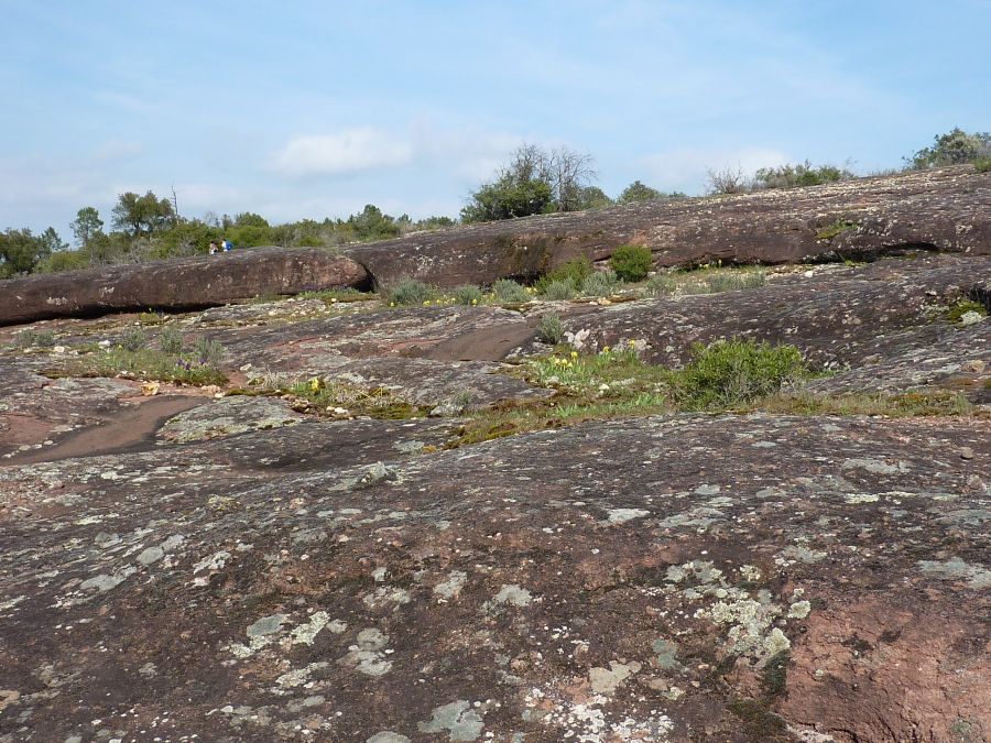 Les Mayons, les Escarcets