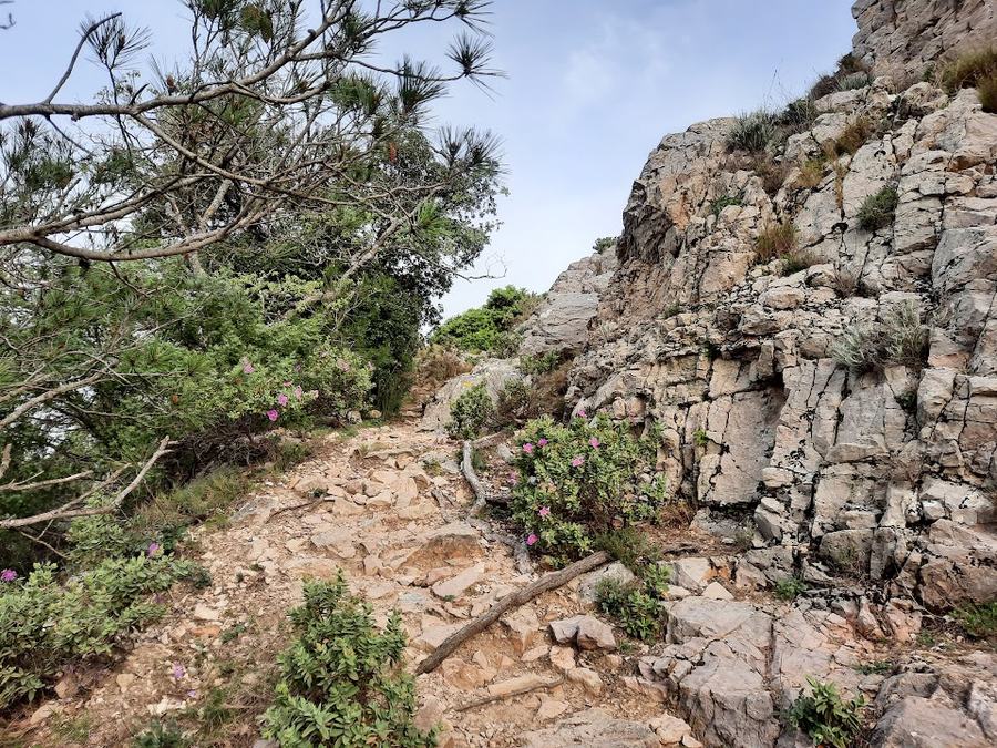 Rocbaron, ruines de Saint Sauveur