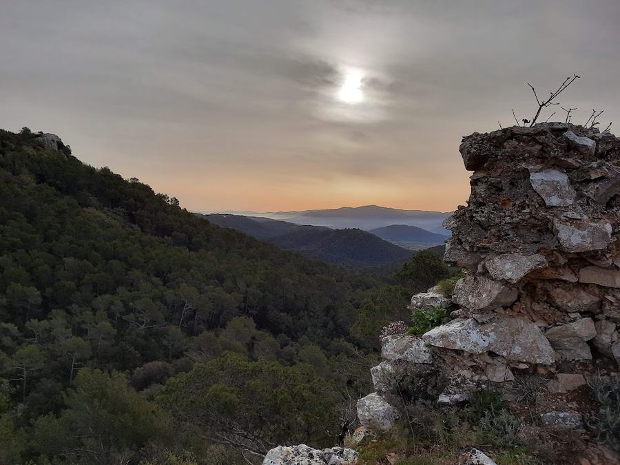 Rocbaron, ruines de Saint Sauveur