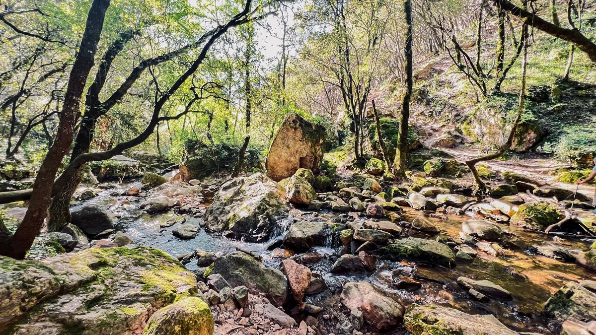 Gorges du Blavet