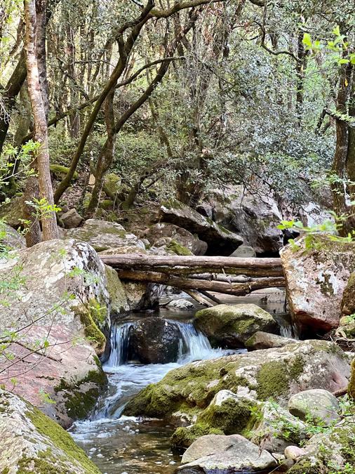 Gorges du Blavet
