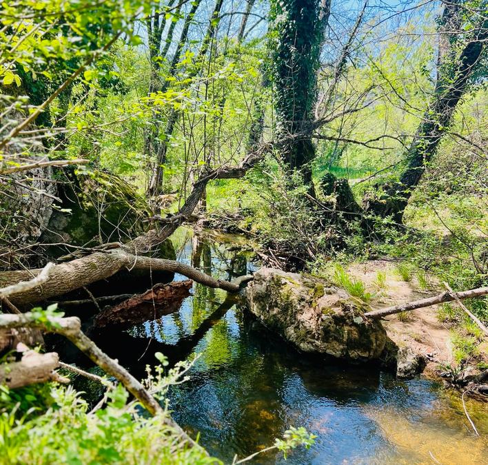 Gorges du Blavet