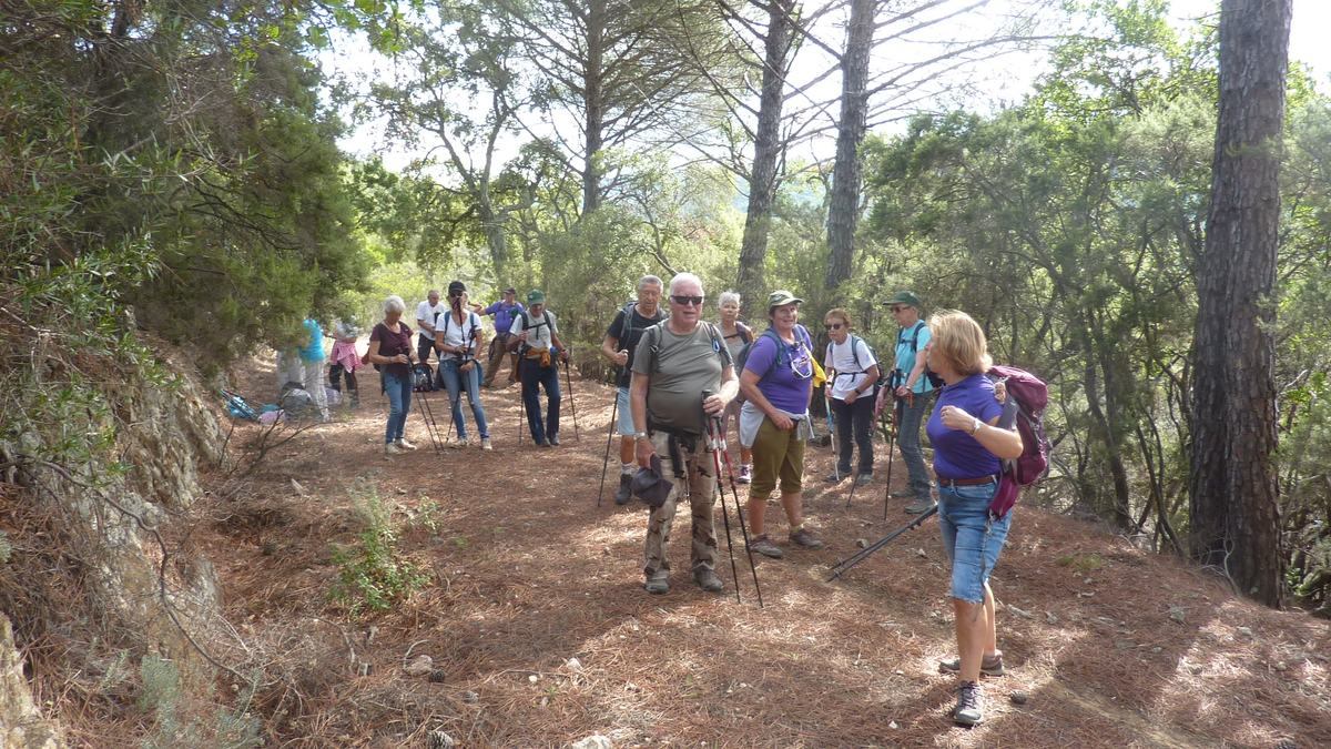 Forêt du Dom, le Révérencier