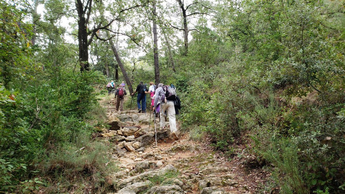 La Celle, vallon des Aurelles