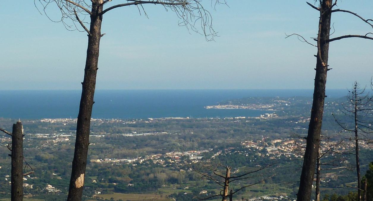 Collobrières, piste du Laïré