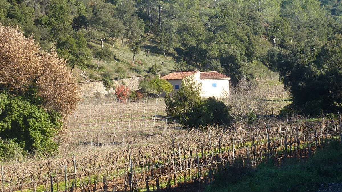 Pierrefeu, vallon de Beaussenas