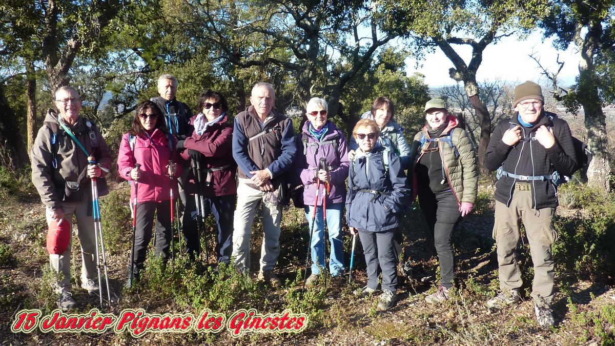 Pignans, les Ginestes
