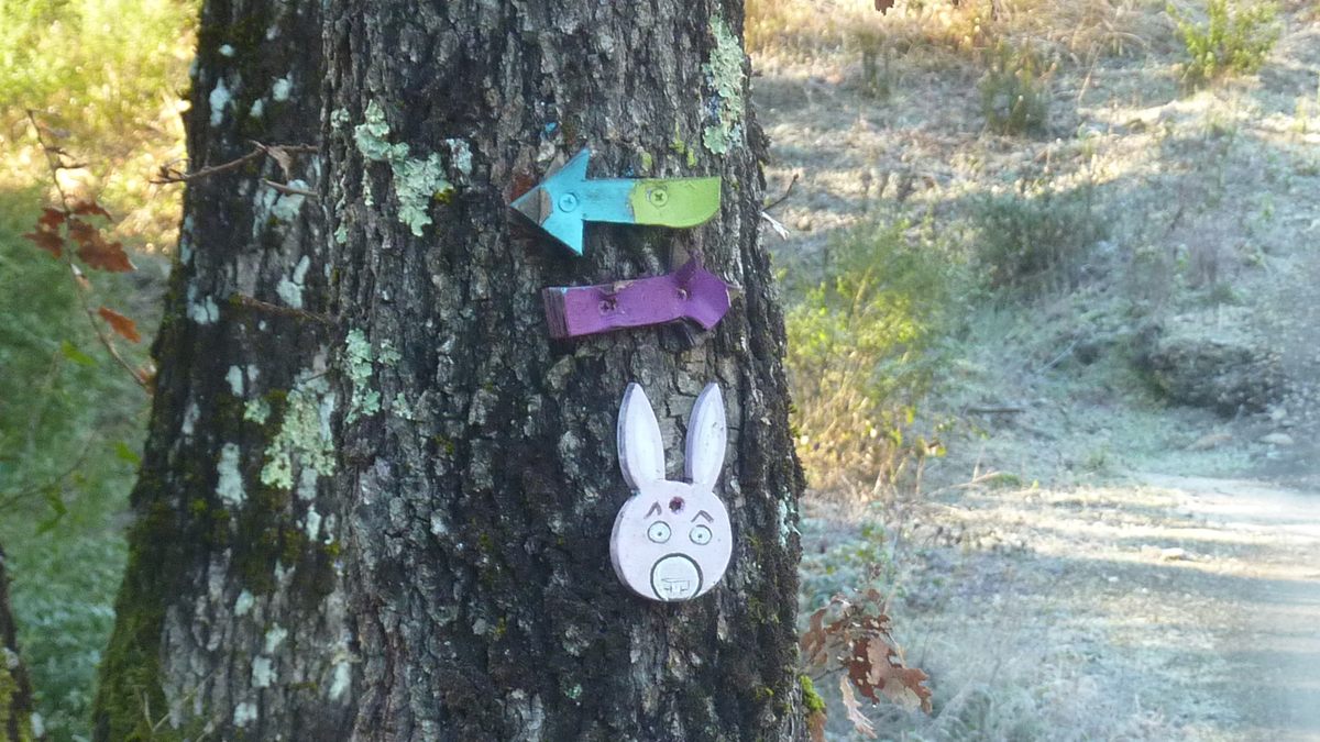 Pignans, les Ginestes