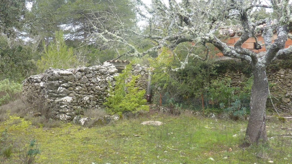 Signes, Riboux