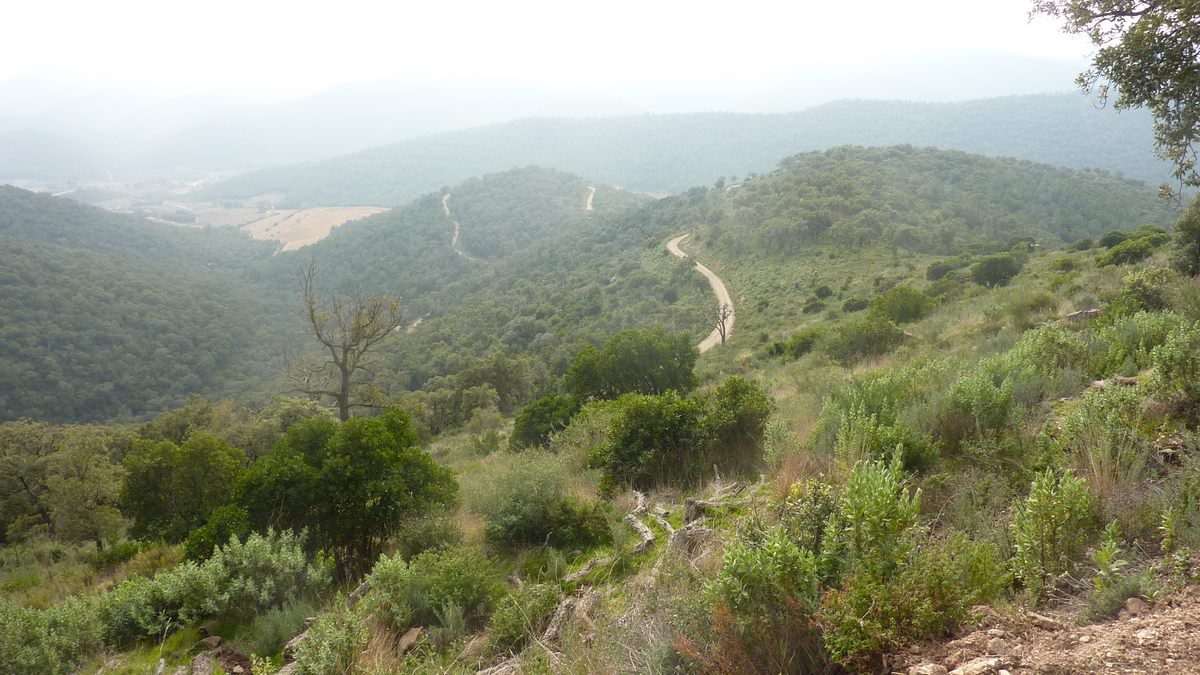 Pierrefeu, le Peirol