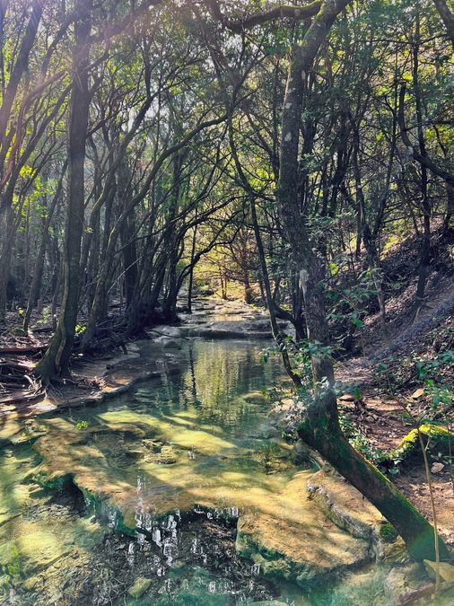 Les sources de l'Huveaune