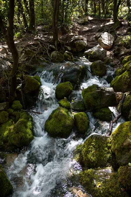 Les sources de l'Huveaune