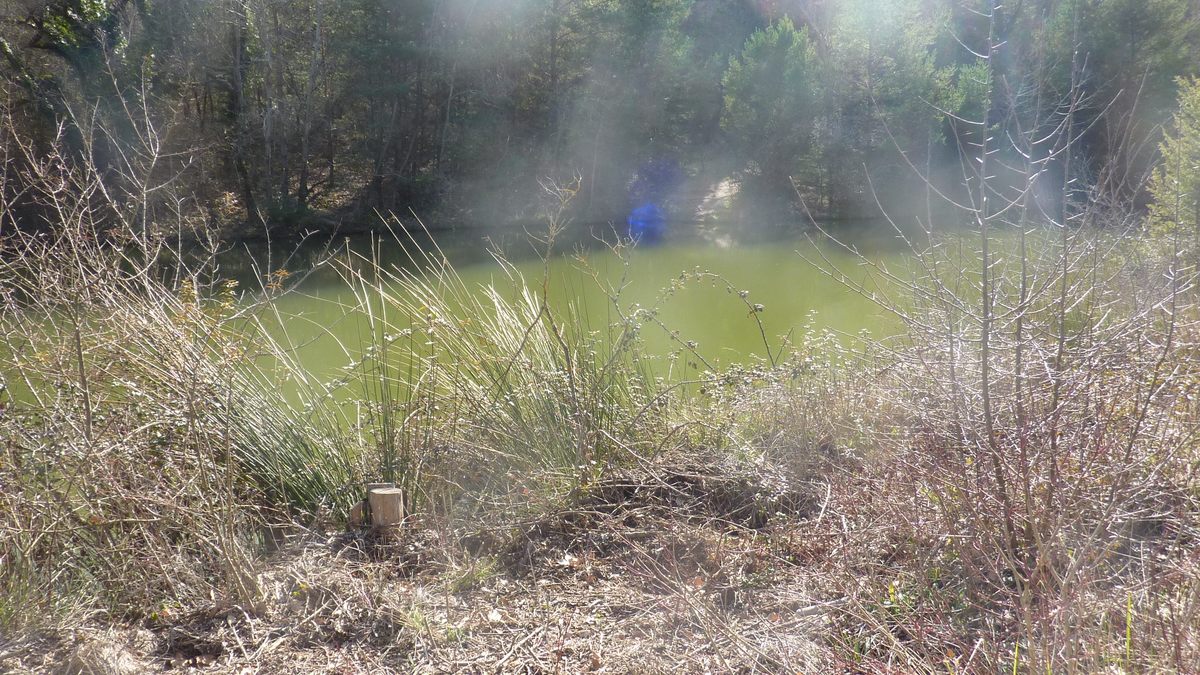 Les sources de l'Huveaune