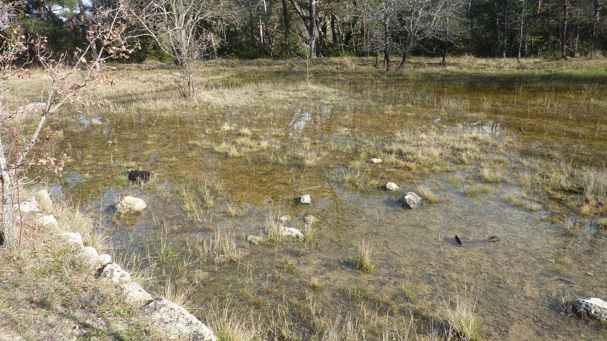 Les sources de l'Huveaune