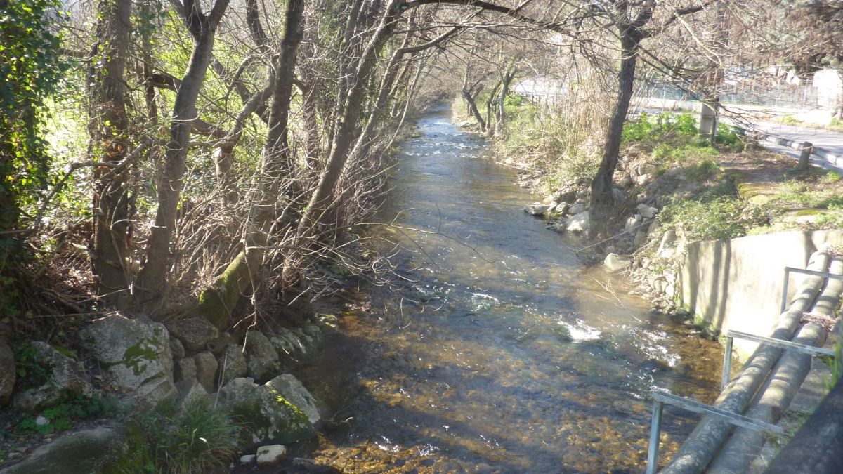 Belgentiers, le camp Broquier