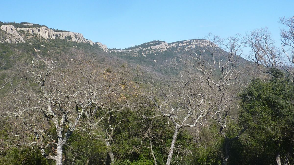 Belgentiers, le camp Broquier