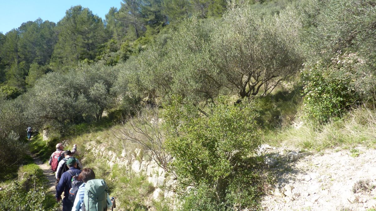 Belgentiers, le camp Broquier