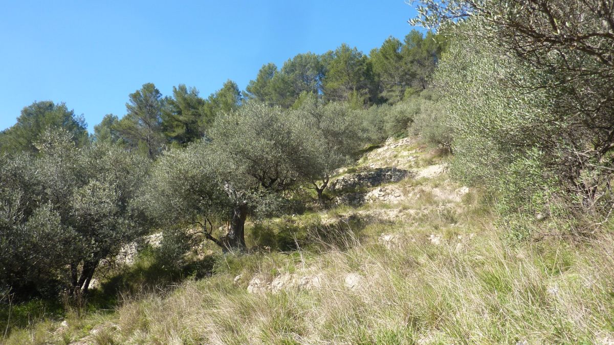 Belgentiers, le camp Broquier