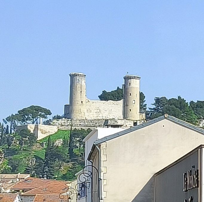Sortie Florilège aux Baux de Provence