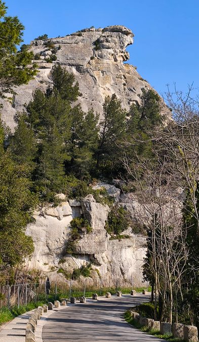 Sortie Florilège aux Baux de Provence