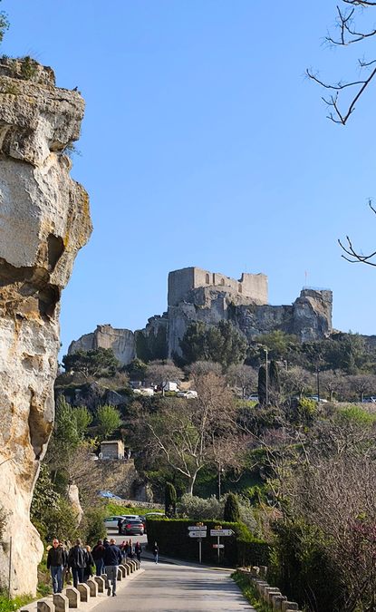 Sortie Florilège aux Baux de Provence