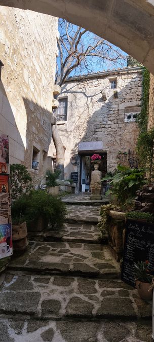 Sortie Florilège aux Baux de Provence