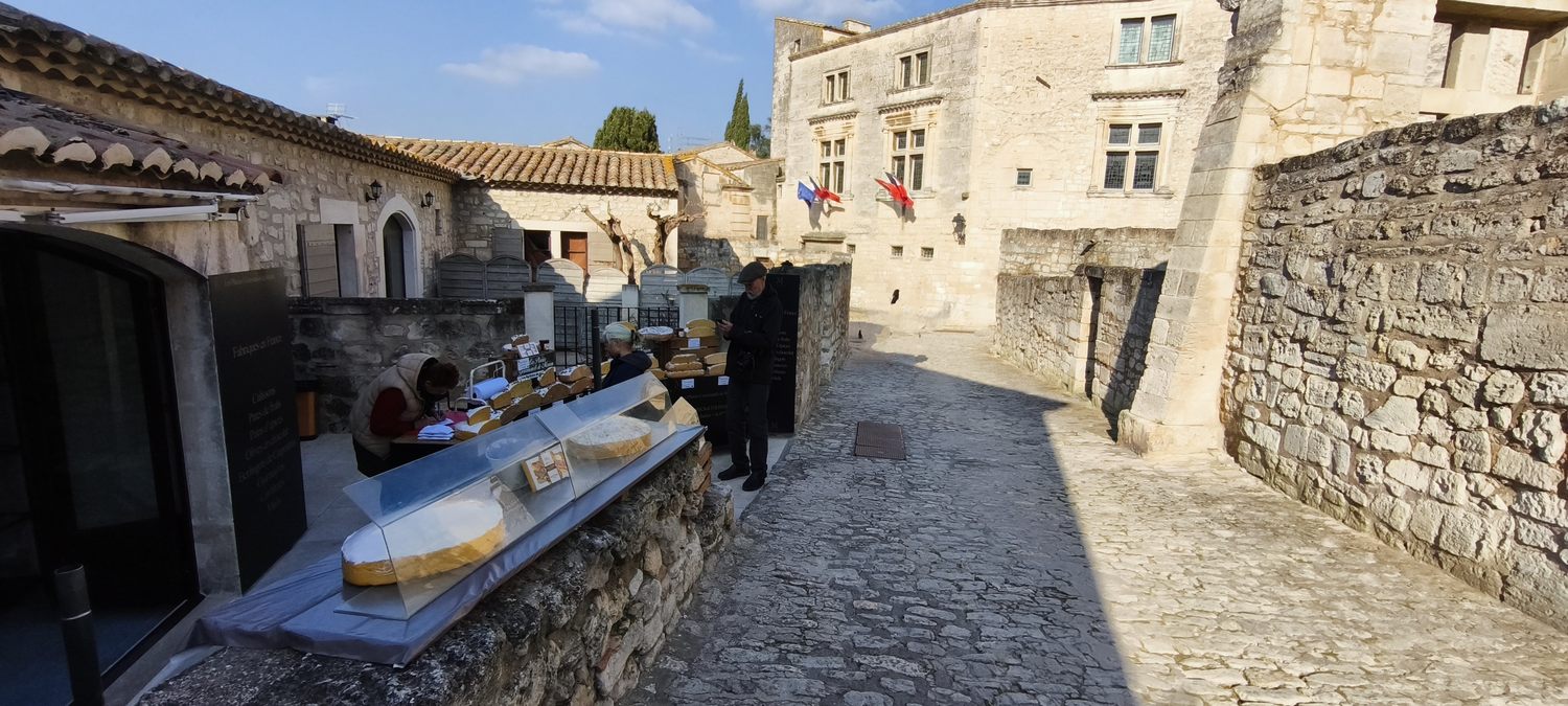 Sortie Florilège aux Baux de Provence