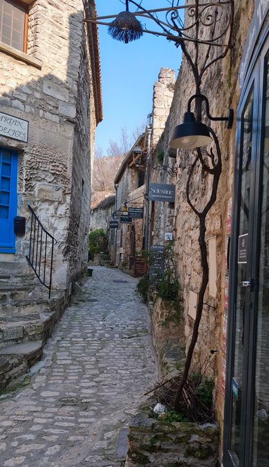 Sortie Florilège aux Baux de Provence